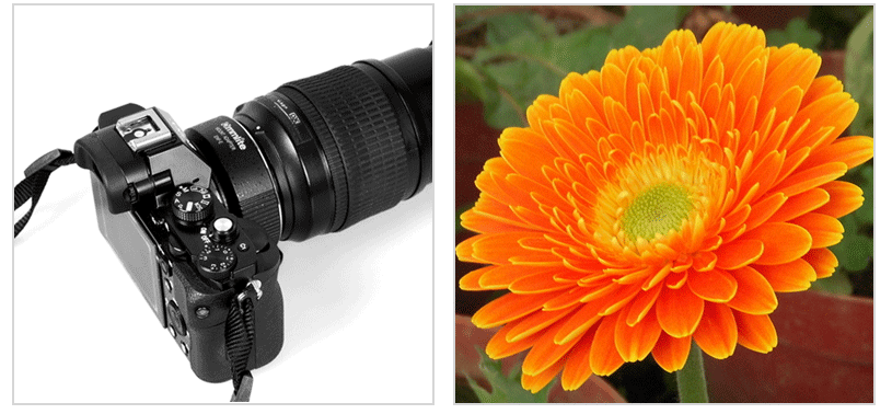 Nikon F Lens to Sony E-Mount Camera Mount Adapter 18 20151122210230 73951
