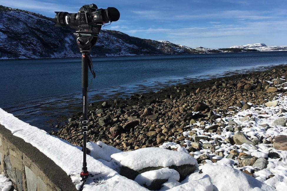 Monopod