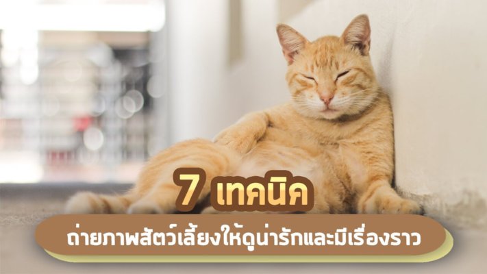 เทคนิคถ่ายภาพสัตว์เลี้ยง