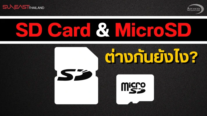 เมมโมรี่การ์ด แบบ SD Card และ แบบ MicroSD Card ต่างกันยังไง?