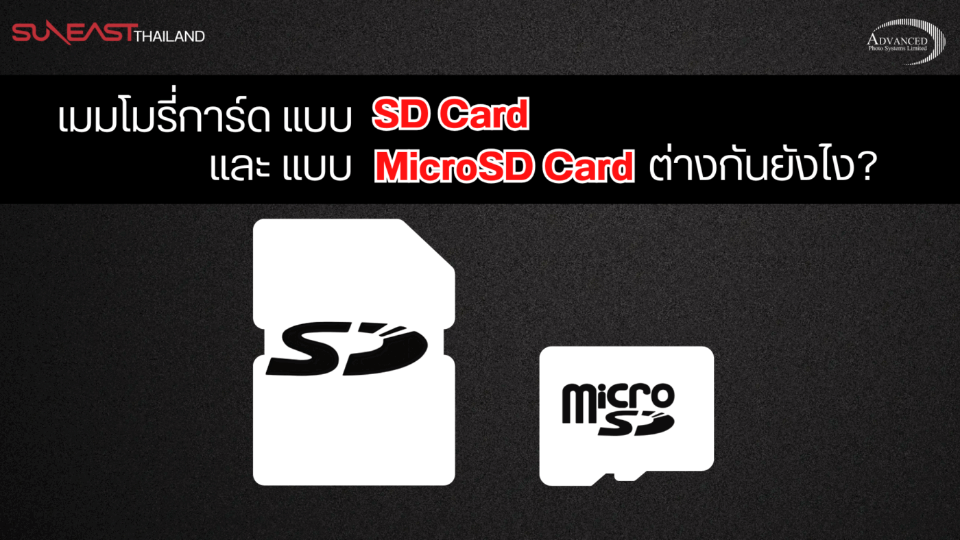 SD Card, Micro SD