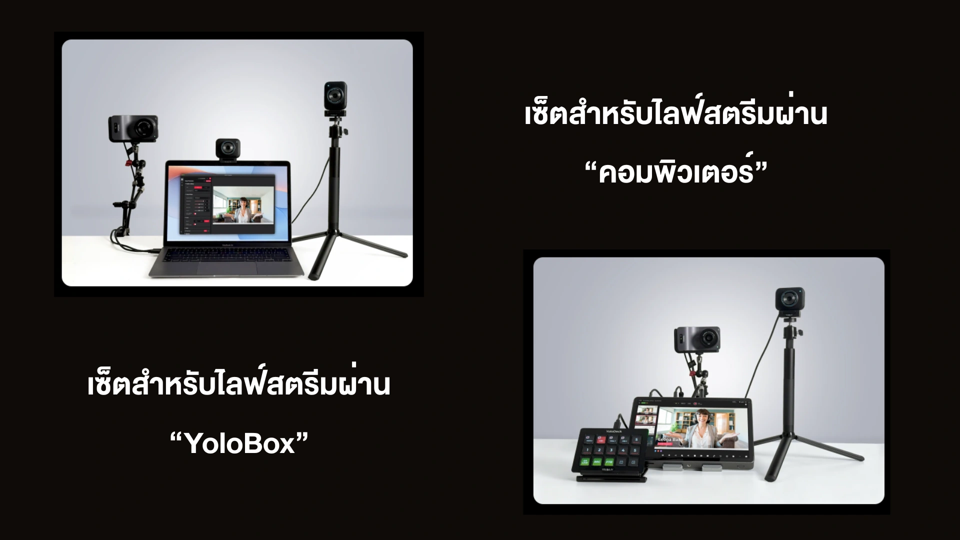เซ็ตไลฟ์