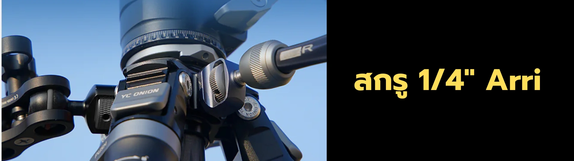 Arri 1/4
