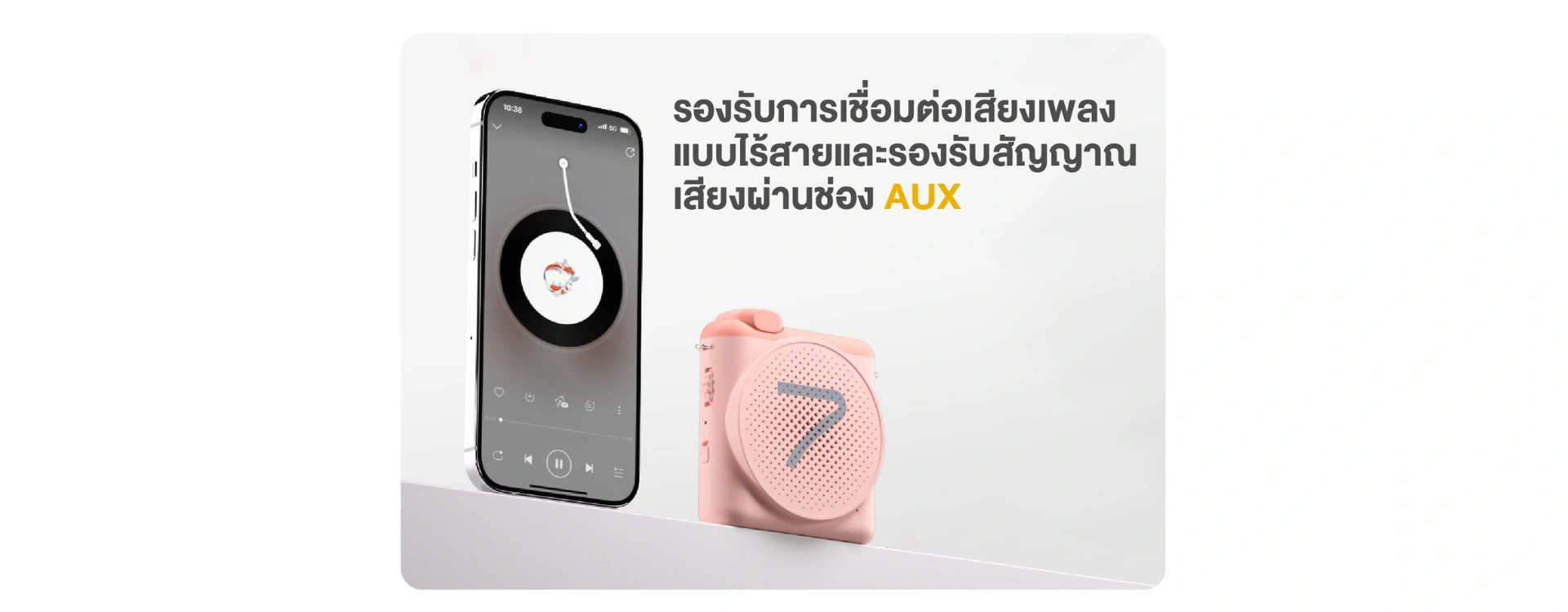 ไมโครโฟนพร้อมไมค์