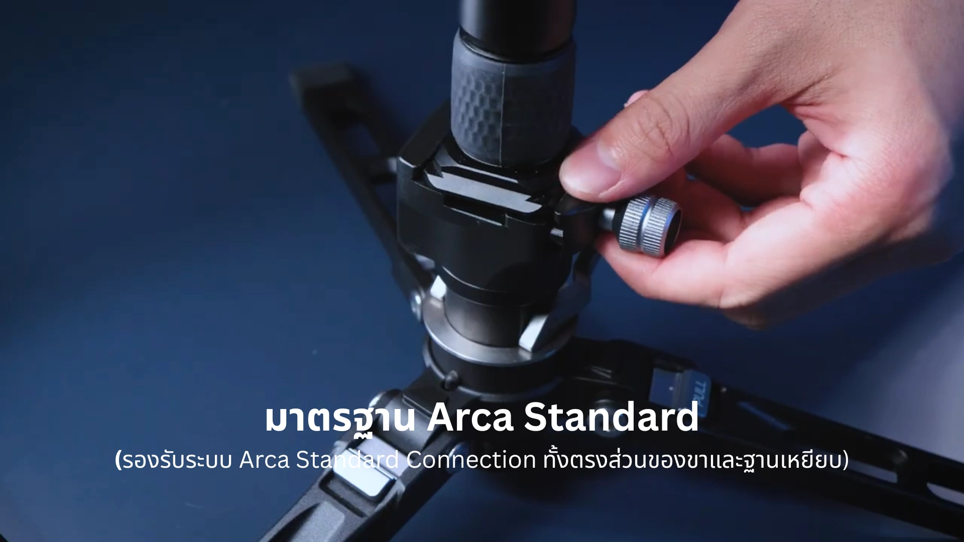 Arca standard