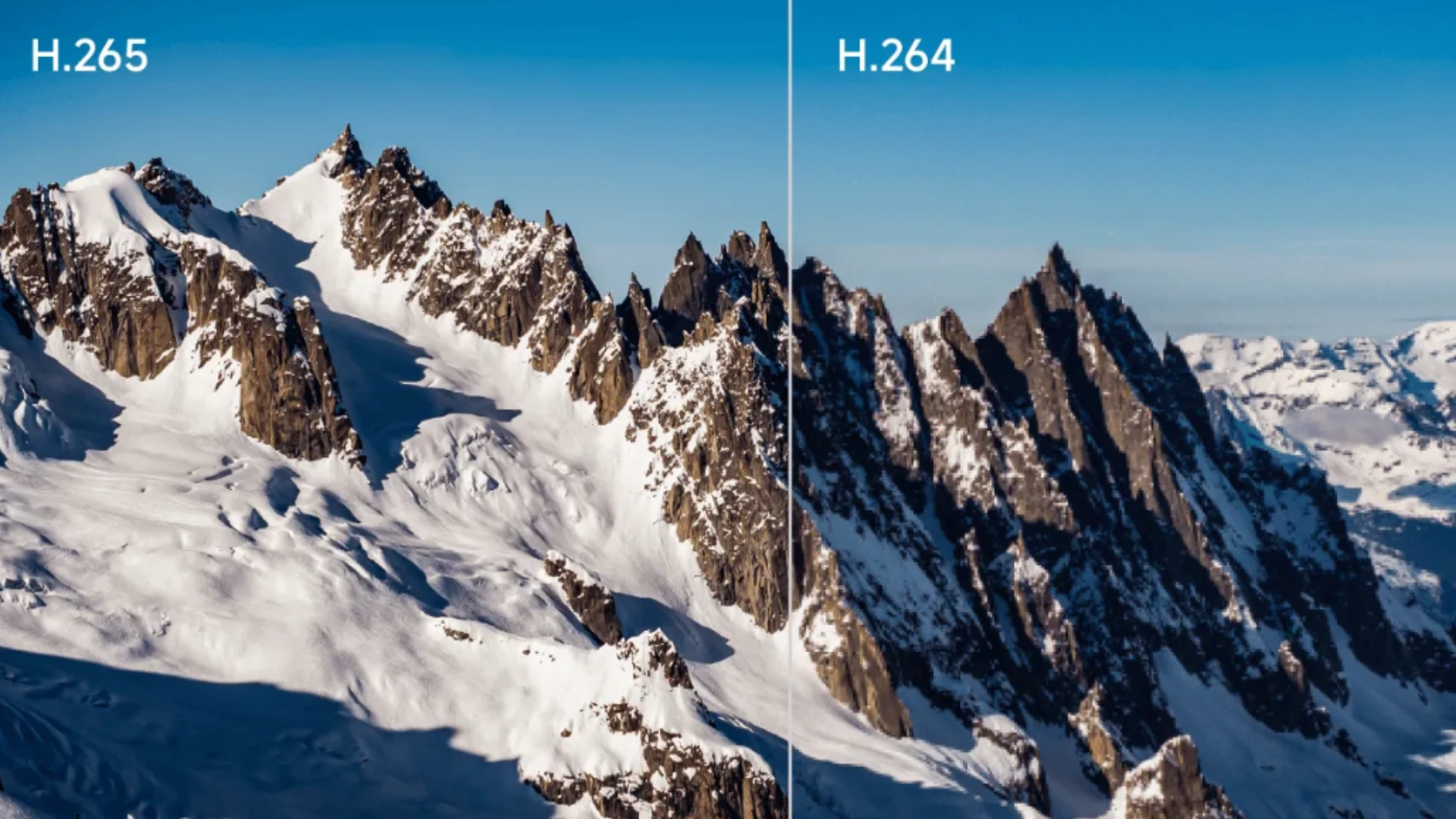 H265