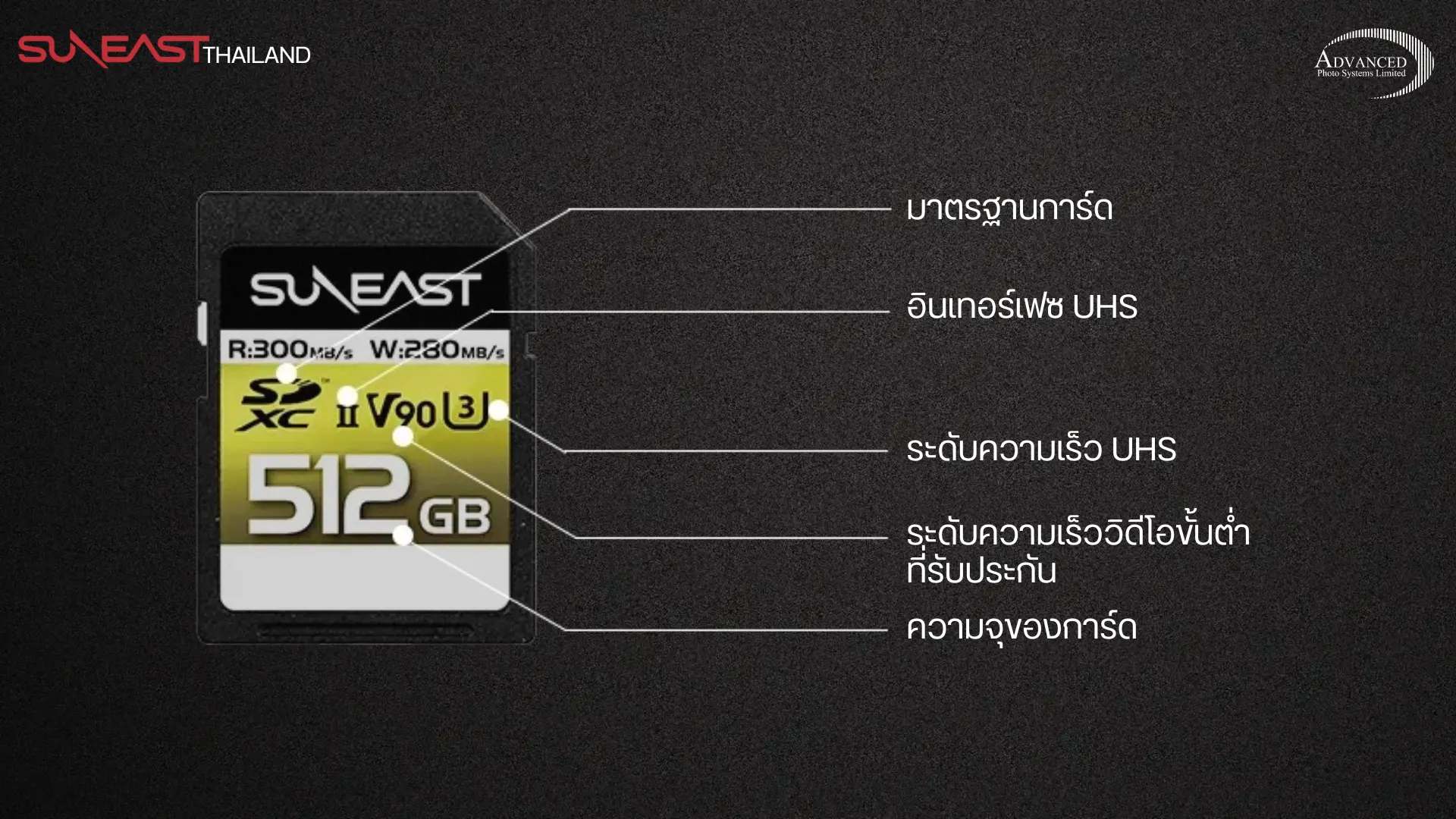 เมมโมรี่การ์ด แบบ SD Card และ แบบ MicroSD Card ต่างกันยังไง?