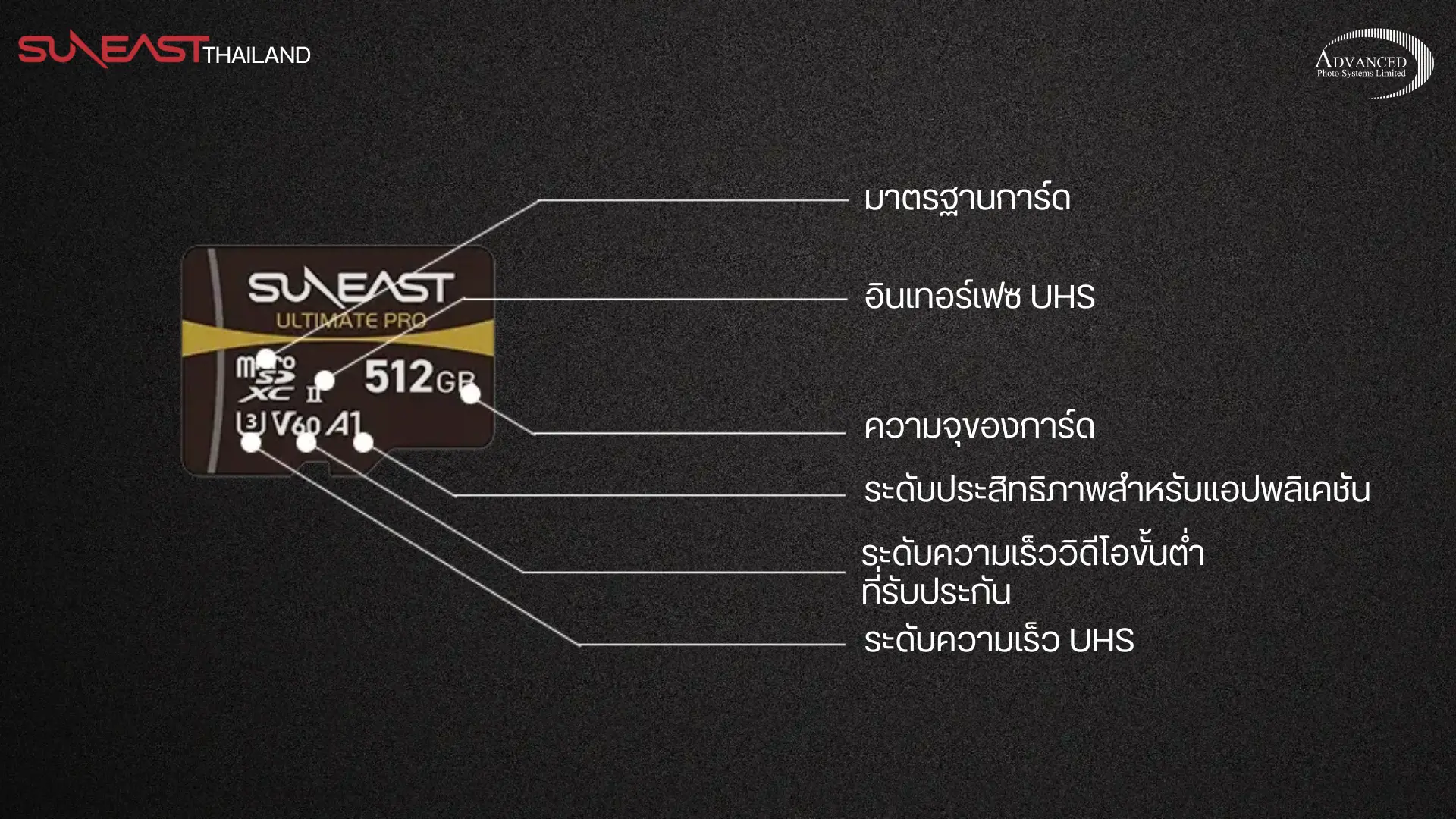 เมมโมรี่การ์ด แบบ SD Card และ แบบ MicroSD Card ต่างกันยังไง?